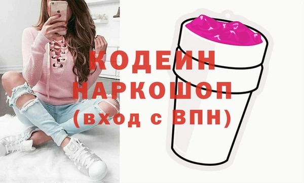 гидра Корсаков