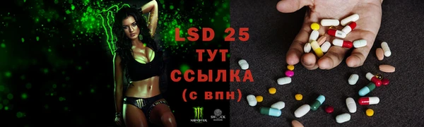 a pvp Козловка