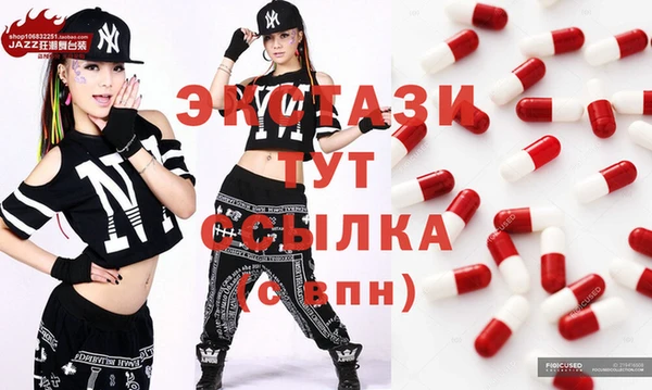 гидра Корсаков