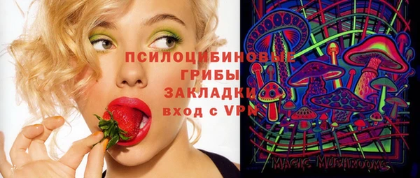 молекула духа Кинешма