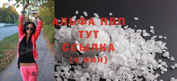 гидра Корсаков