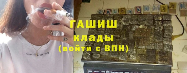 гидра Корсаков