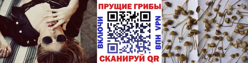 Псилоцибиновые грибы Magic Shrooms  Шали 