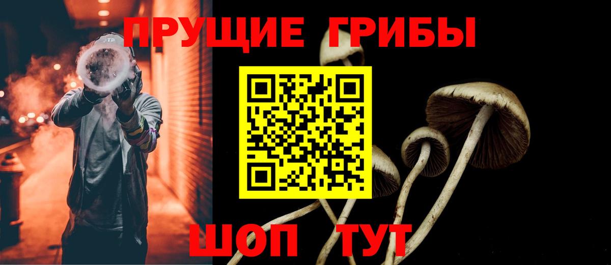 Шали  Псилоцибиновые грибы Psilocybe  Вход с VPN 